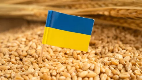 Statele membre UE și deputații europeni negociază pentru a restricționa afluxul de cereale ucrainene