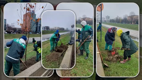 Angajații de la Servicii Publice plantează 1.200 de copaci pe malul Bahluiului. Arborii sunt de diferite specii - FOTO