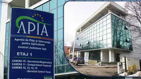 APIA a făcut plăți în valoare de 30 de milioane de euro către fermierii din Iași. Banii sunt pentru terenurile agricole și fermele zootehnice