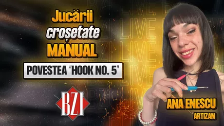 LIVE VIDEO - Jucării croșetate manual Ana Enescu artizan povestește pentru BZI LIVE despre activitatea sa creativă Hook no. 5
