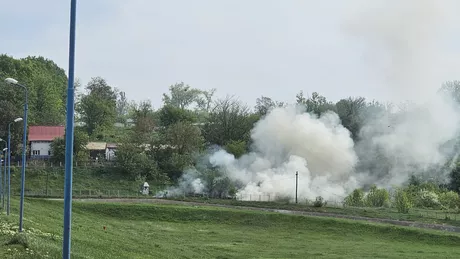 Incendiu de vegetație uscată la Iași. Pompierii intervin - FOTO