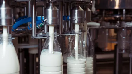 Diferențele dintre lapte UHT și lapte pasteurizat. Care este mai sănătos