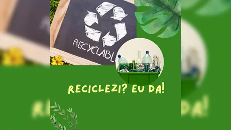 Promovarea sustenabilității în Retail strategii creative pentru afacerile care utilizează produse reciclate sau biodegradabile