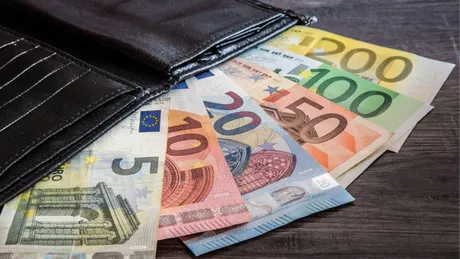 Câți bani vor primi românii după ce vor adopta salariul european. Vestea care i-a îngrijorat pe toți angajații