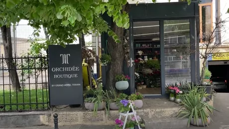 Florăria Orchidee Boutique locul unde se împletesc frumusețea naturii și magia florilor pentru a crea momente de neuitat - VIDEO