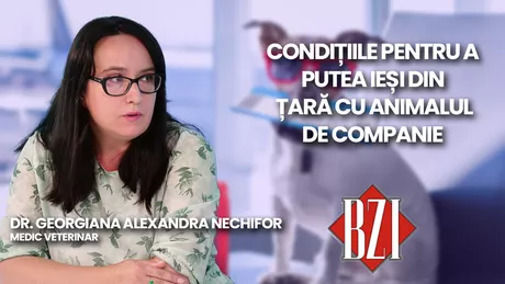 LIVE VIDEO - Dr. Georgiana Alexandra Nechifor medic veterinar discută în emisiunea BZI LIVE despre condițiile pentru a călători cu animalele de companie