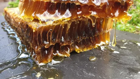 Consumă fagure de miere pentru o sănătate de fier Ce proprietăţi superioare are acest produs apicol