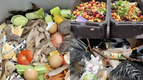 Ieșenii au aruncat tone de mâncare la gunoi de sărbătorile pascale. Risipa alimentară rămâne o problemă uriașă la Iași - FOTO