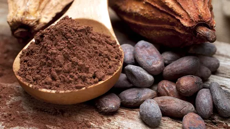 Cum alegi cea mai buna cacao