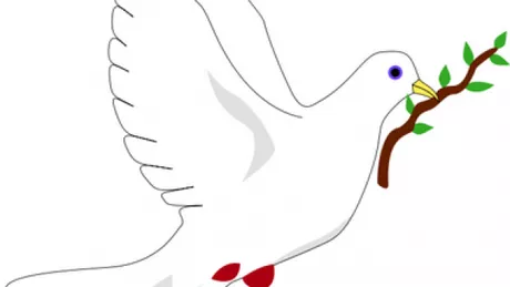 Iata cui i se datoreaza popularizarea porumbelului ca simbol al pacii 