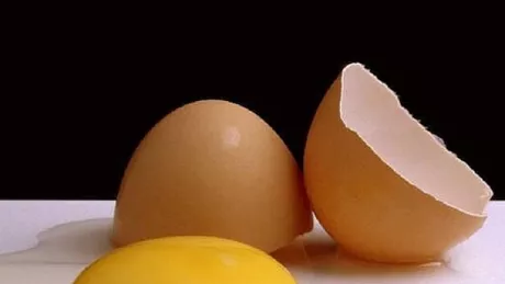Ouale pot fi congelate. 8 lucruri surprinzatoare despre oua pe care trebuie sa le stii