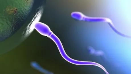 12 lucruri despre sperma pe care trebuie sa le stii