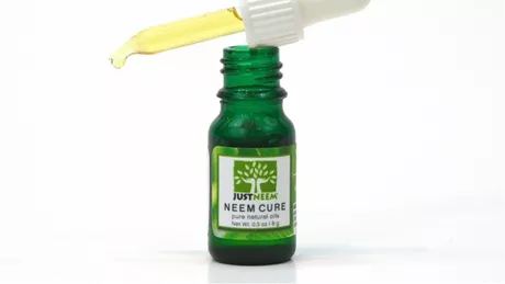 Uleiul de neem. 18 beneficii si moduri de utilizare in viata de zi cu zi