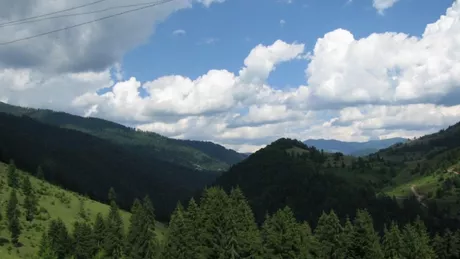 Valea Blaznei paradisul din Muntii Rodnei - FOTO