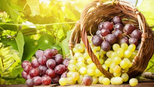 Ce beneficii are consumul de struguri seara? Nu trebuie să-i mai mănânci dacă suferi de această boală!
