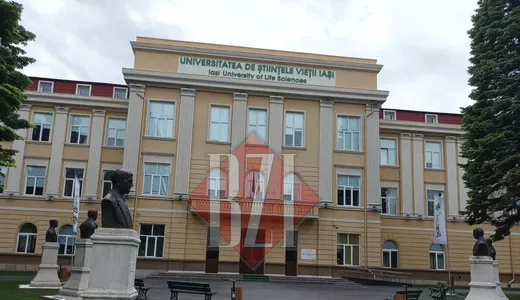 Teme inedite abordate în lucrările de diplomă ale studenților USV Iași Burger cu făină de linte ruladă de pui cu spanac și ulei de cătină inserat în mușchiuleț de porc