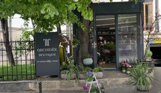 Florăria Orchidee Boutique locul unde se împletesc frumusețea naturii și magia florilor pentru a crea momente de neuitat 8211 VIDEO