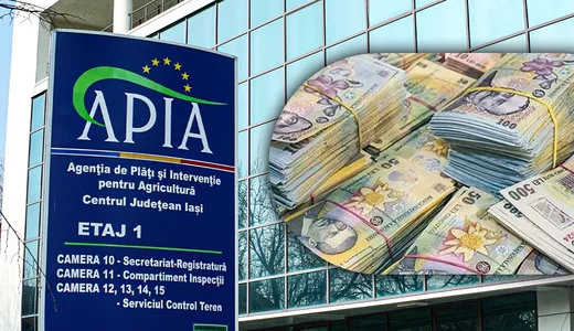 Bani pentru fermierii din Iași APIA efectuează plăți către beneficiarii din sectorul zootehnic