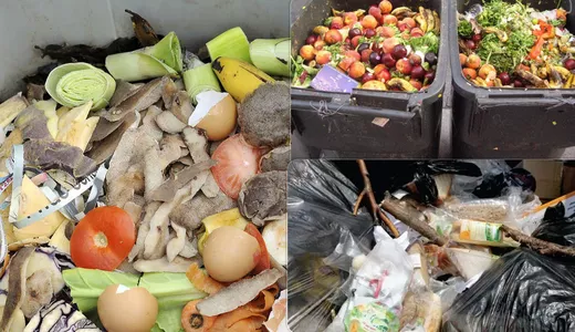 Ieșenii au aruncat tone de mâncare la gunoi de sărbătorile pascale. Risipa alimentară rămâne o problemă uriașă la Iași 8211 FOTO