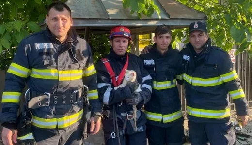 Un motan a fost salvat de către pompieri după ce a căzut într-o fântână adâncă de 10 metri în Botoșani. Animalul dispăruse de acasă de o lună