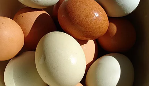 De ce ouăle mai închise la culoare costă mai mult decât cele albe