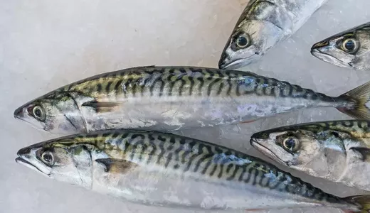 Au venit rezultatele preliminare în cazul fetiței de 4 ani din Călărași care a decedat după consumul de pește
