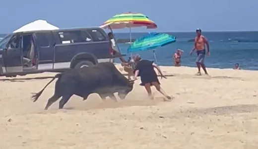 Un taur a atacat o femeie aflată pe plajă. Cum a reușit aceasta să scape de animalul furios- VIDEO
