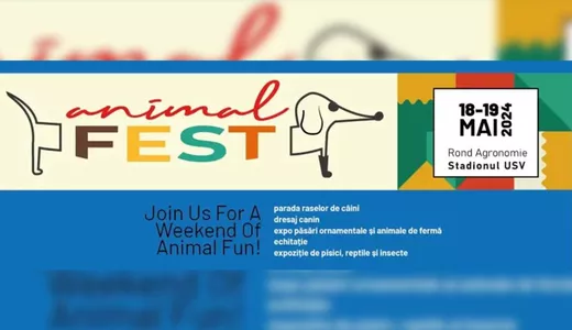 USV Iași organizează ANIMAL FEST la sfârșitul acestei săptămâni în premieră va avea loc un curs de prim ajutor Pet first aid