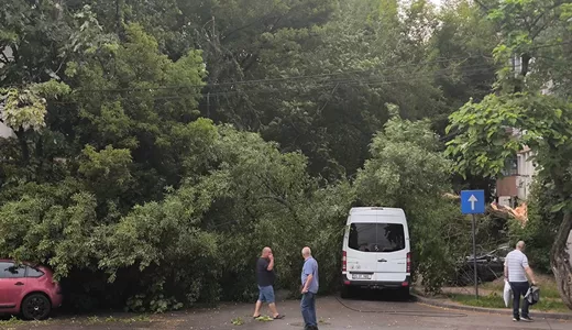 Incident la Iași Un copac a căzut peste două autoturisme în Copou