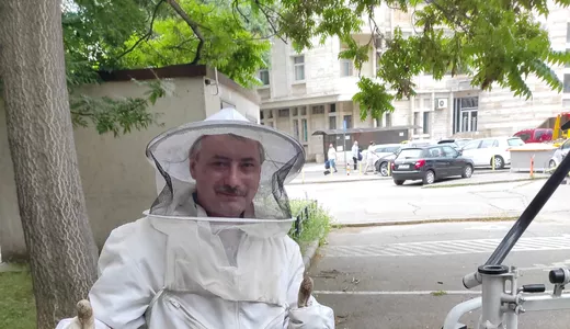 Un echipaj pentru salvări de la înălțime intervine pe strada Anastasie Panu pentru îndepărtarea unui roi de albine de pe o clădire