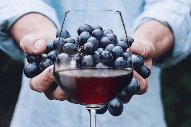 pahar de vin, alaturi de un om care tine struguri negri in maini