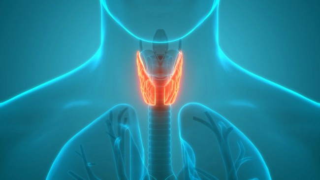 glanda tiroidă