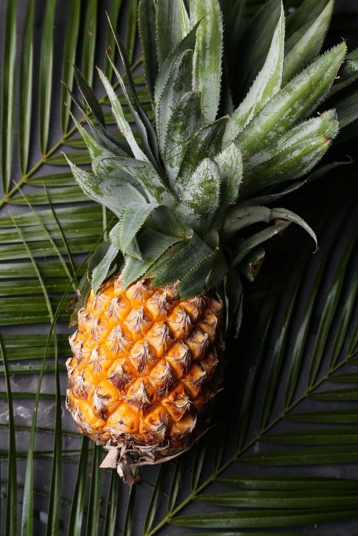 un ananas pe o frunza mare