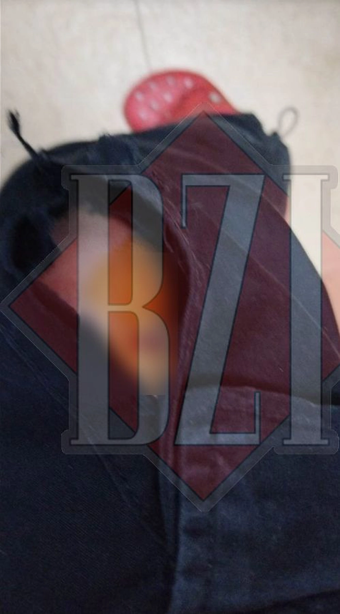 o poză cu o haită de câini din Holboca