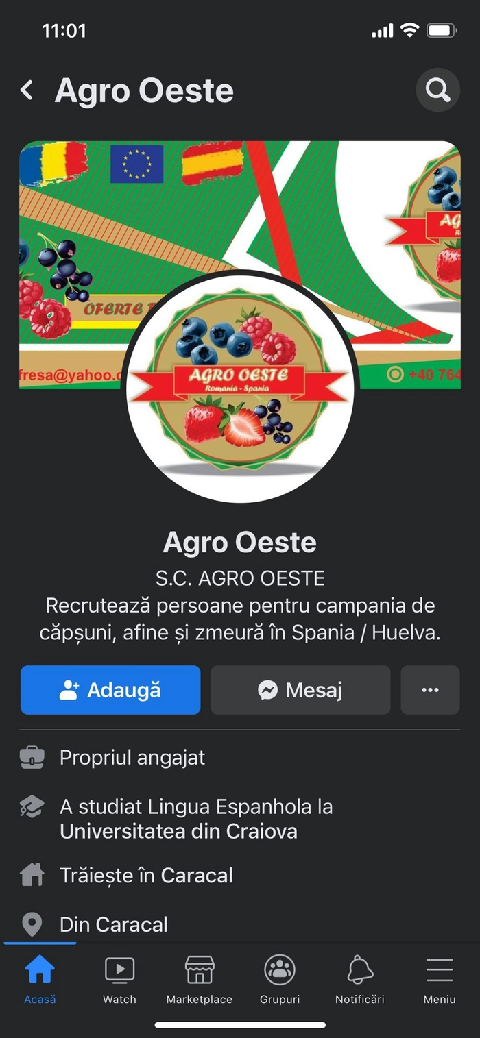 o alta pagina de facebook