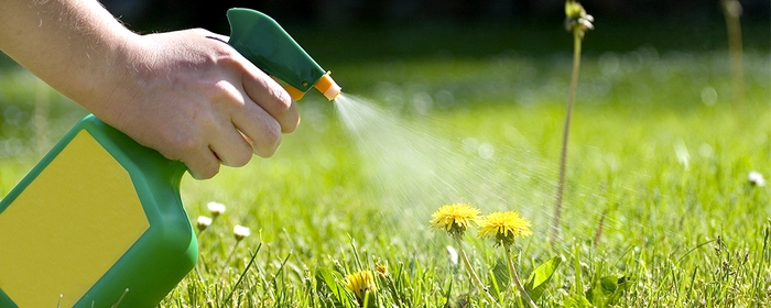 persoana care pulverizeaza cu erbicid