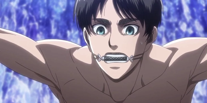 eren jaeger legat 