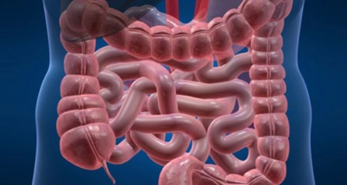 grafica sindrom colon iritabil