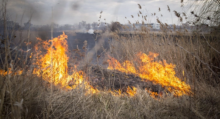 incendiile de vegetație ce amenzi riscă