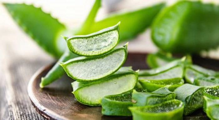 felii tăiate de aloe vera