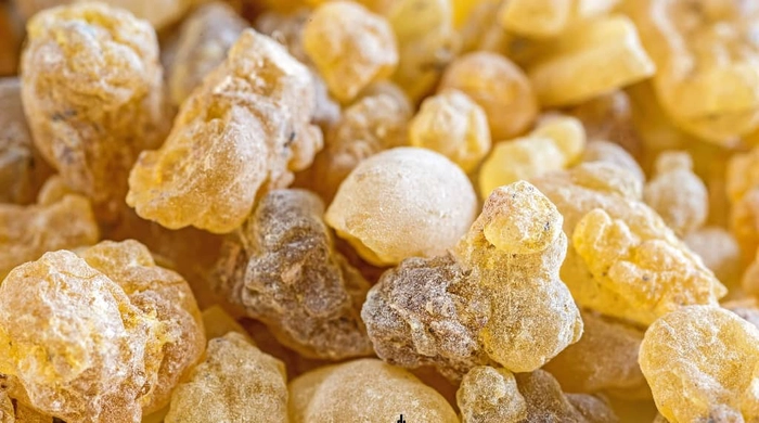 extract de tamaie