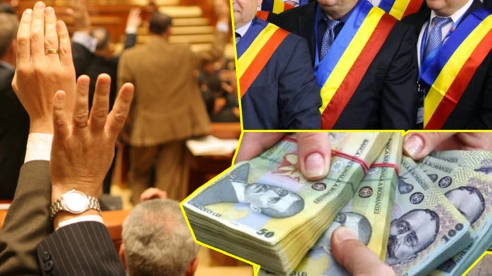 bancnote, lei, aleși locali, membri de comisie ce votează