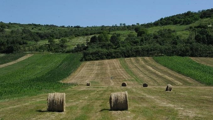 un teren agricol