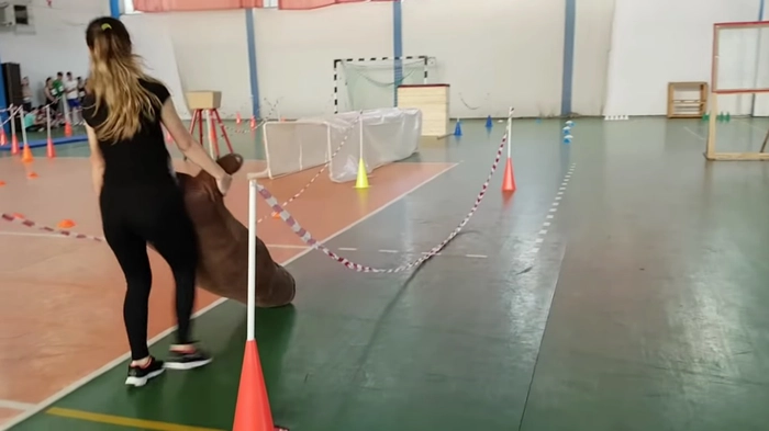 o fata intr-o sala de sport