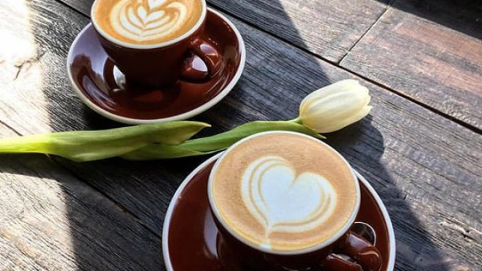doua cesti de cafea si o lalea