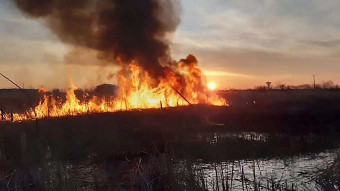 incendiile de vegetație ce amenzi riscă