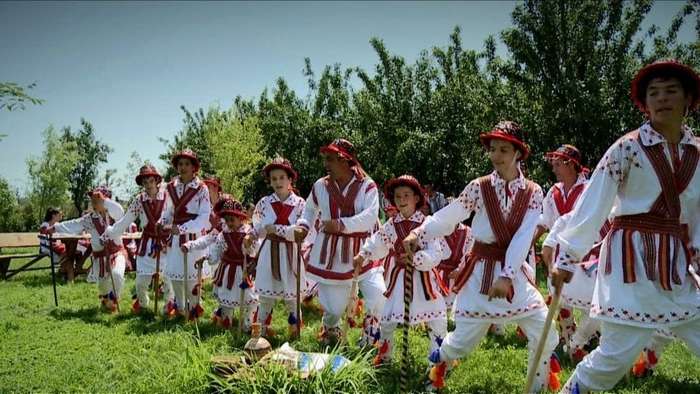 o imagine cu mai multi calusari