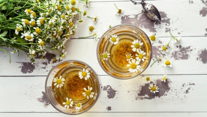 doua cani de ceai cu romanita langa plante proaspete pe o masa