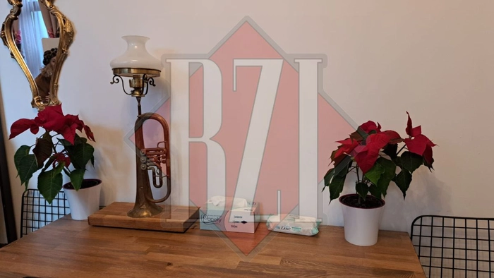 ornamente casa