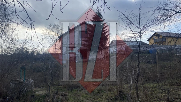  casa lui Viorel Crihan